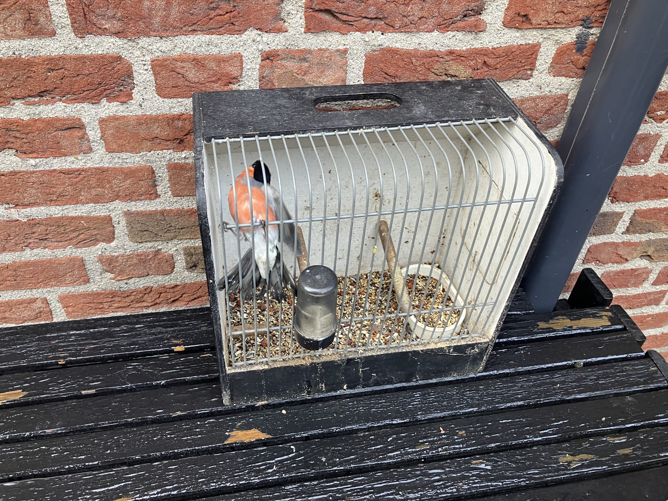 Vogelstroper op heterdaad aangehouden in natuurgebied Achterhoek