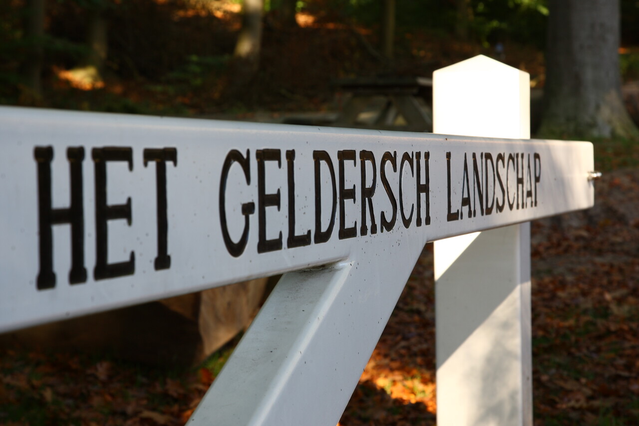 Stevige winterwandeling over de Lochemse Berg