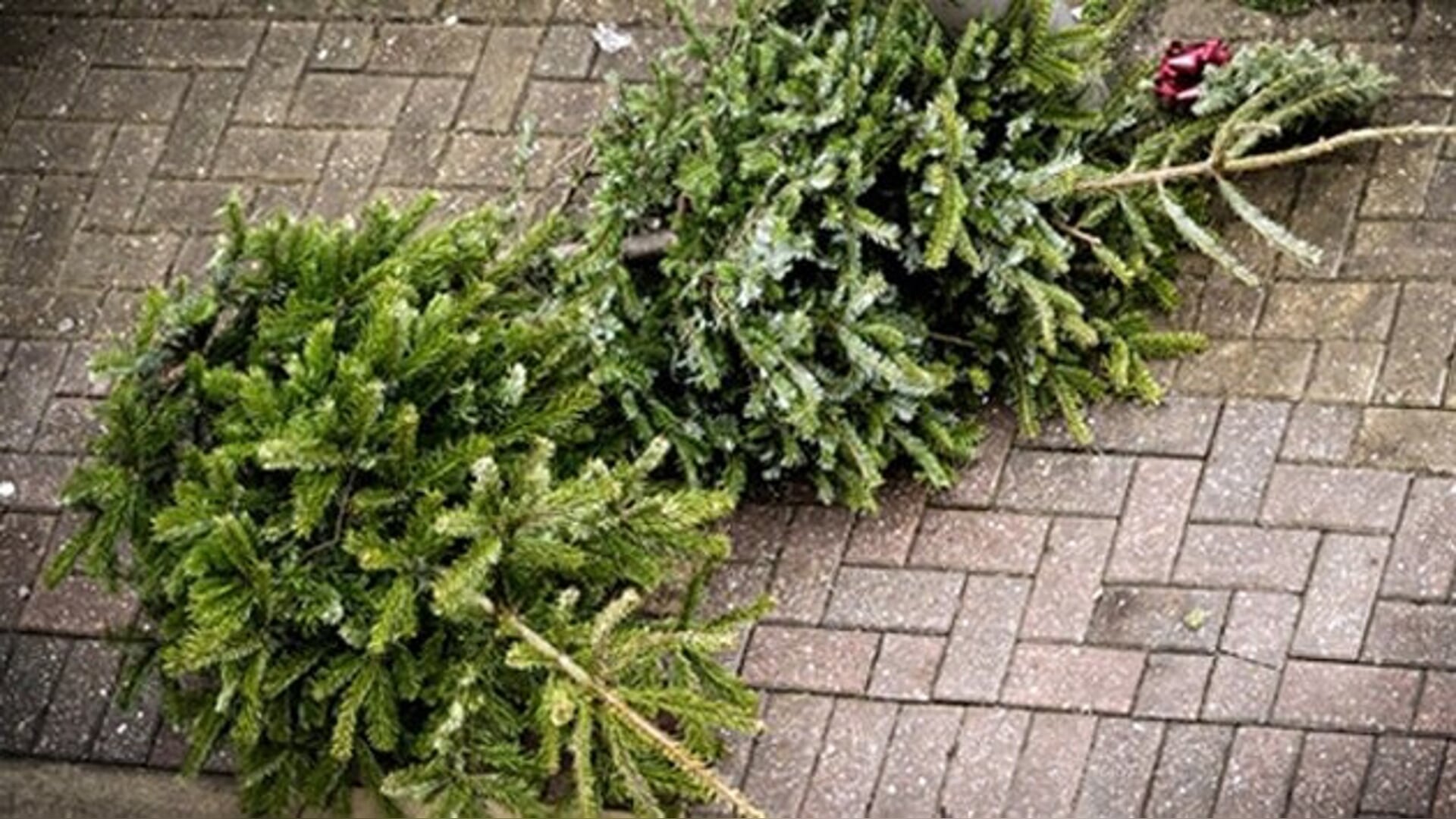 Inzameling kerstbomen en vuurwerkafval in Bronckhorst uitgesteld naar 14 januari