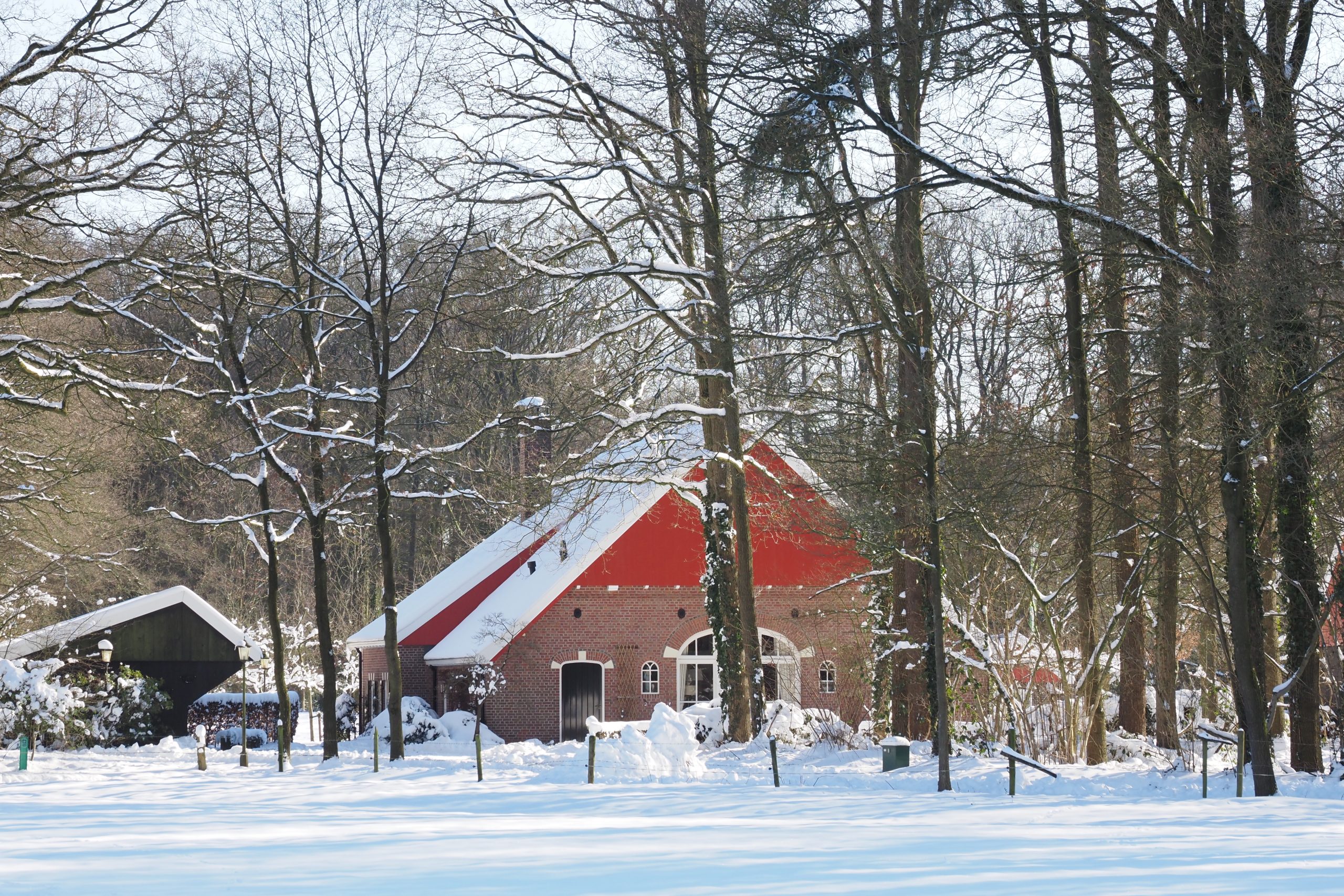 Lange winterwandeling door het Woold bij Winterswijk