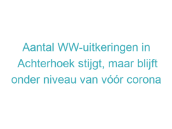 Aantal WW-uitkeringen in Achterhoek stijgt, maar blijft onder niveau van vóór corona