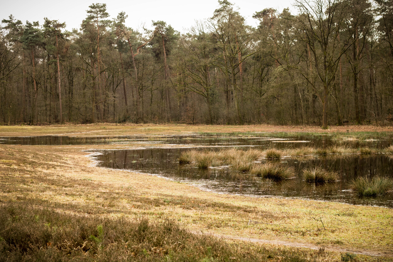 Winterwandeling over landgoed Hagen bij Doetinchem