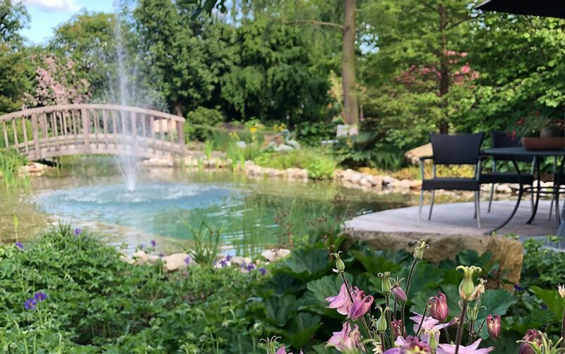Park Gut Heidefeld - Teich