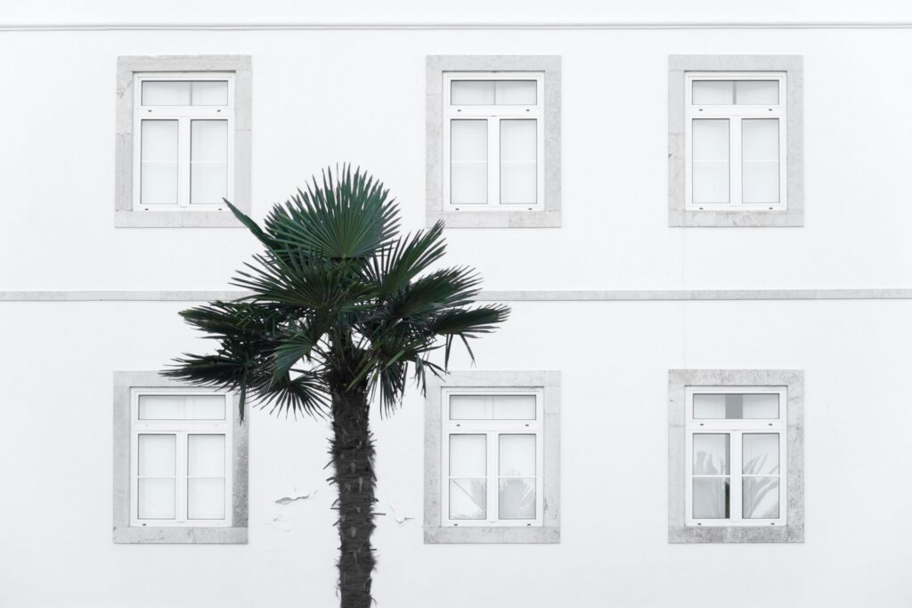 derks24-windows-2551954