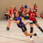 HV Grol DS1-DHV DS1