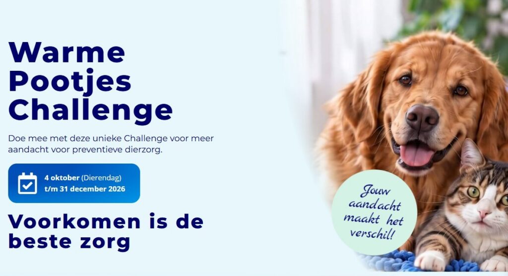 Schermafbeelding 2026-10-02 093342